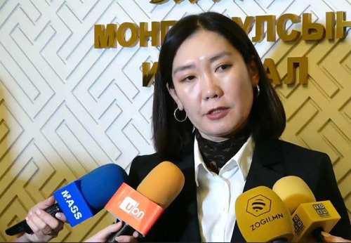 Л.Мөнхбаясгалан: “Ухаа худаг”-ийг хууль бусаар авсан асуудлаар хянан шалгах дэд хороо байгуулна